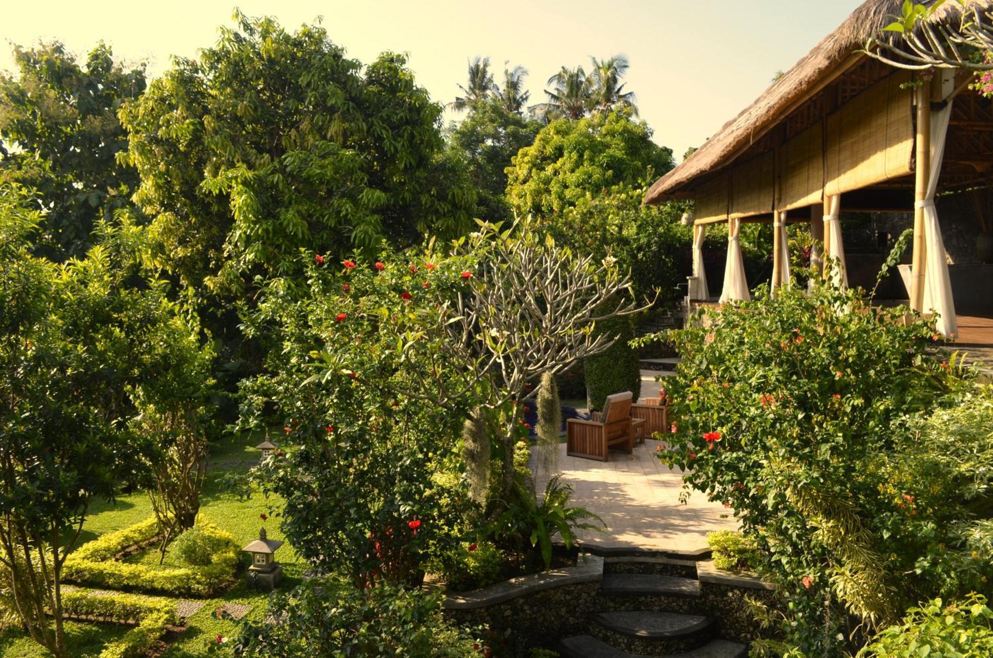 Alamanda Lovina Resort Exterior foto